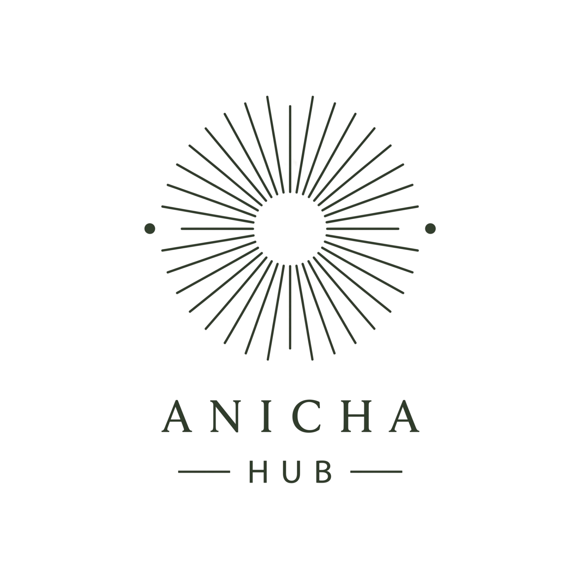 Anicha Hub Logo